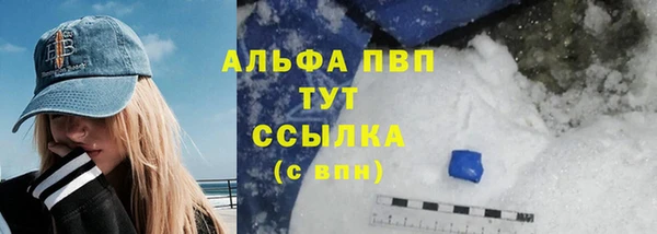 индика Абаза