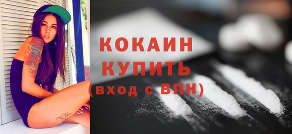 индика Абаза
