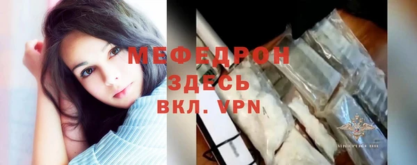 индика Абаза