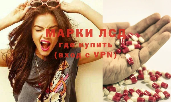 индика Абаза