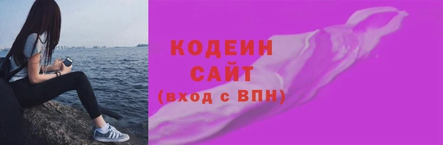 индика Абаза
