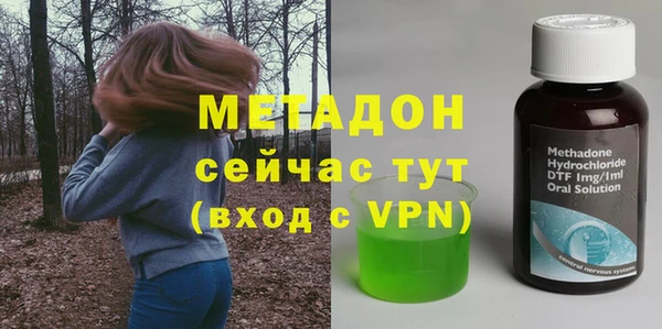 индика Абаза