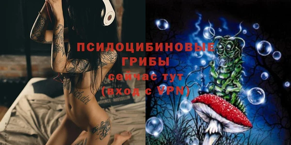 индика Абаза