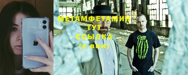 индика Абаза