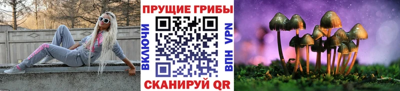 как найти закладки  omg рабочий сайт  Галлюциногенные грибы ЛСД  Якутск 