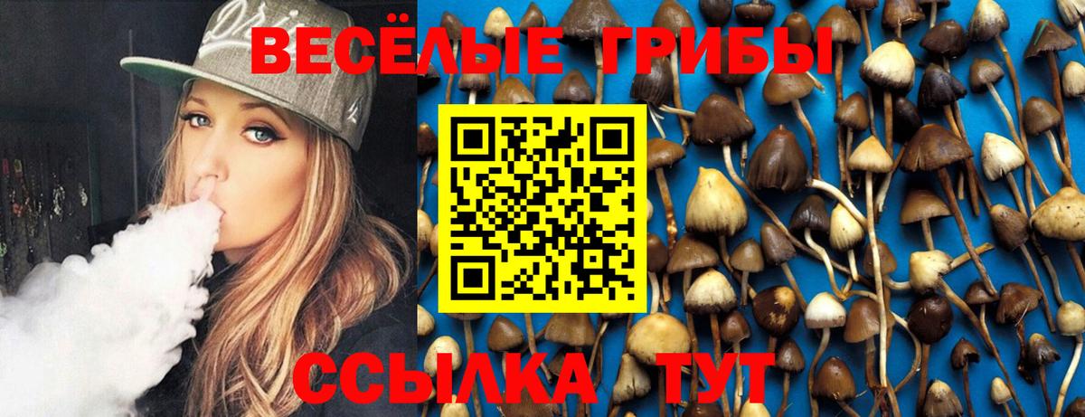 Псилоцибиновые грибы Magic Shrooms  Галлюциногенные грибы мухоморы  Вход с VPN  Якутск 