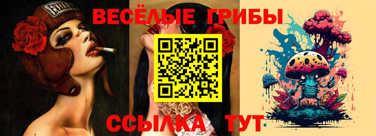 Меф   Вход с VPN  NBOMe  Якутск  Где продают наркотики?  Гашиш  ГАШИШ 